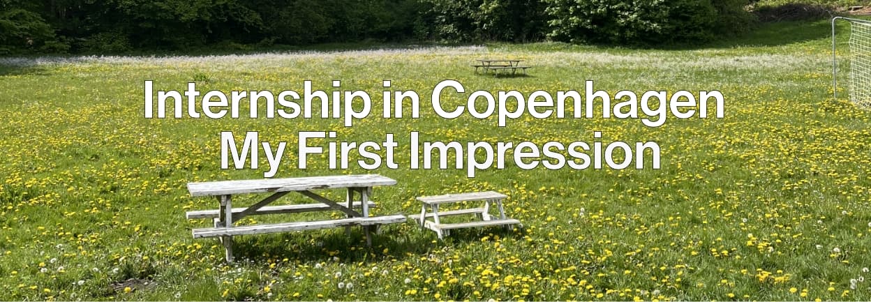 Banner-Copenhagen-Internship-First-Impression-2