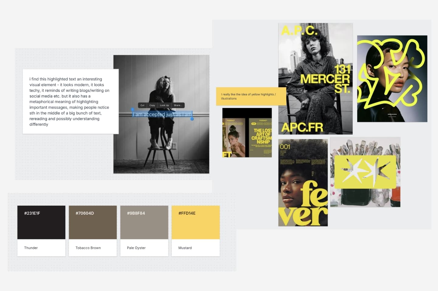 Moodboard for Website including colours and visual references